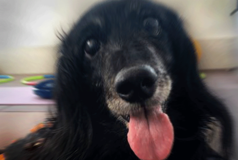 f:id:masami_takasu:20181021005640g:plain