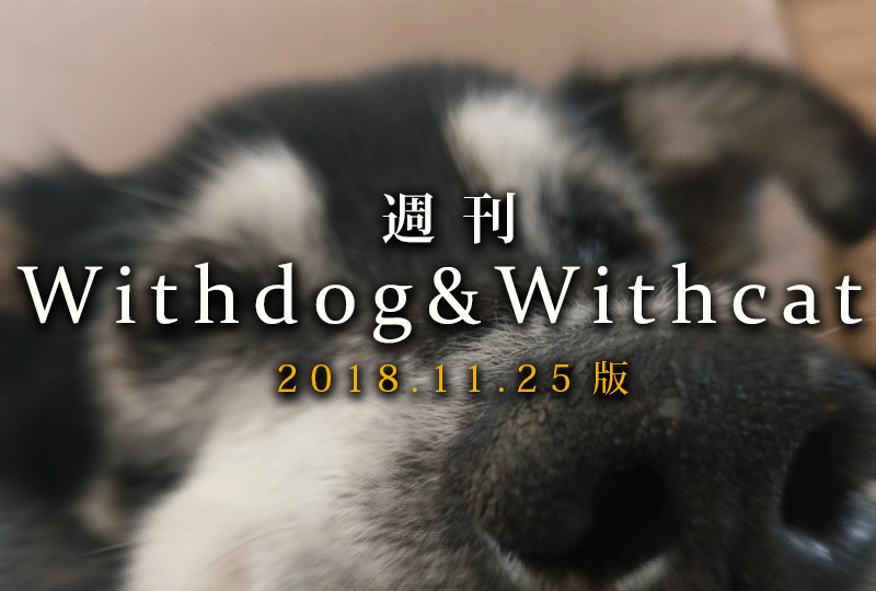 f:id:masami_takasu:20181021133016g:plain