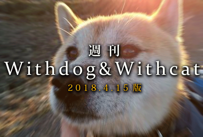 f:id:masami_takasu:20181023124823g:plain