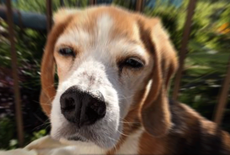 f:id:masami_takasu:20181025110939g:plain f:id:masami_takasu:20181025110939g:plain