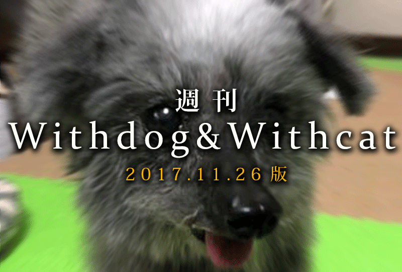 f:id:masami_takasu:20181029121929g:plain