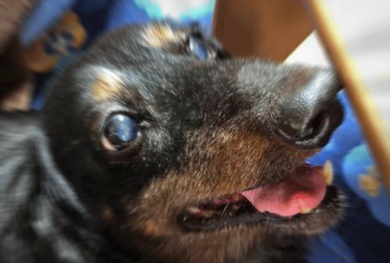 f:id:masami_takasu:20181104100151g:plain f:id:masami_takasu:20181104100151g:plain