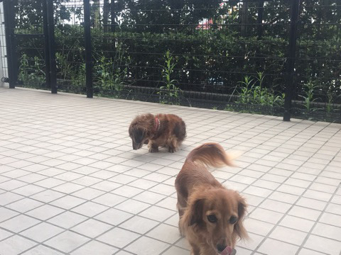 f:id:masami_takasu:20181111121839j:plain f:id:masami_takasu:20181111121839j:plain