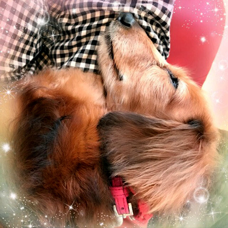 f:id:masami_takasu:20181111141107j:plain f:id:masami_takasu:20181111141107j:plain