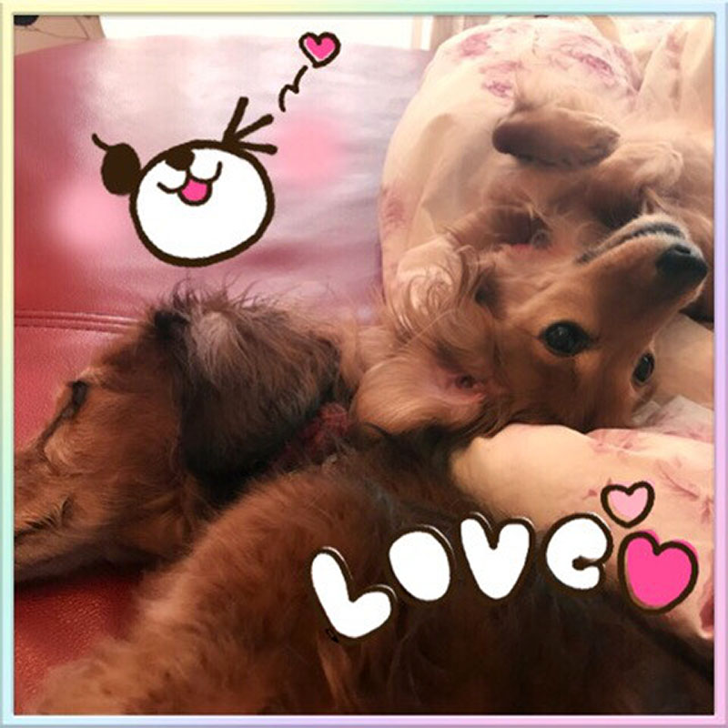 f:id:masami_takasu:20181111161457j:plain f:id:masami_takasu:20181111161457j:plain