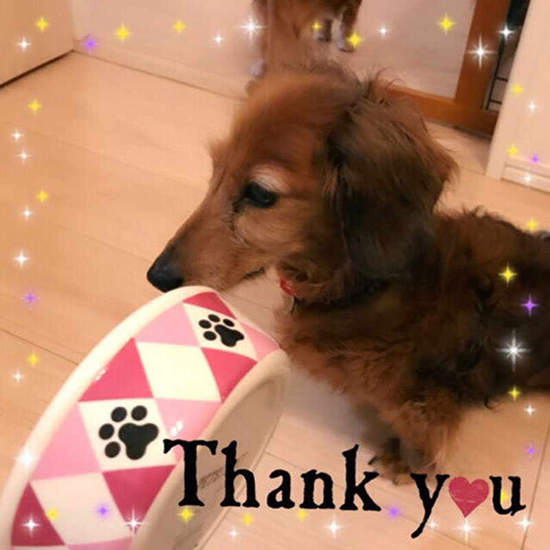 f:id:masami_takasu:20181111164816j:plain f:id:masami_takasu:20181111164816j:plain