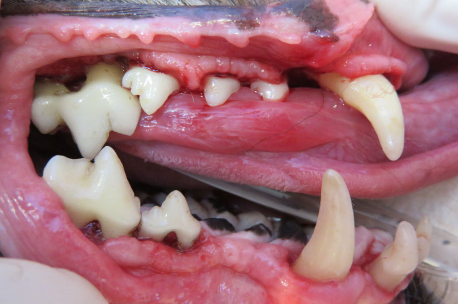 f:id:masami_takasu:20181112144702j:plain