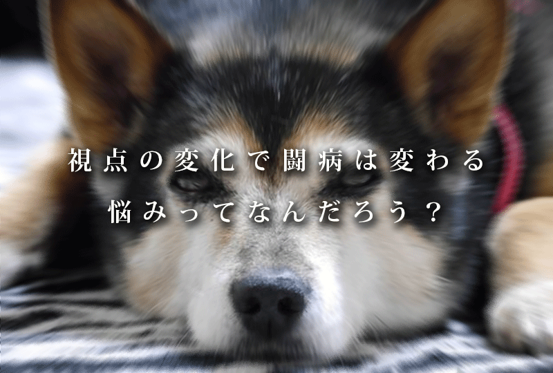 f:id:masami_takasu:20181113172028g:plain f:id:masami_takasu:20181113172028g:plain