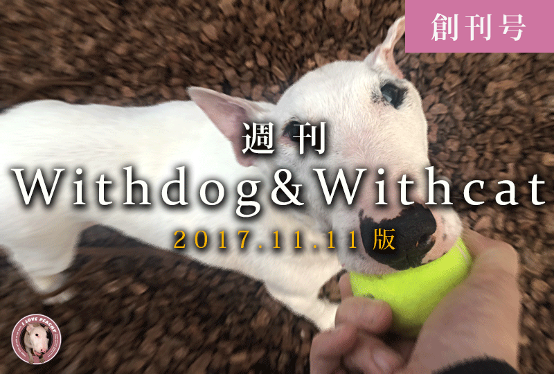 f:id:masami_takasu:20181118081430g:plain