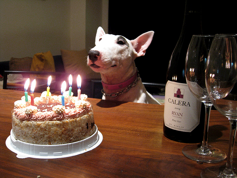 f:id:masami_takasu:20181118082310g:plain