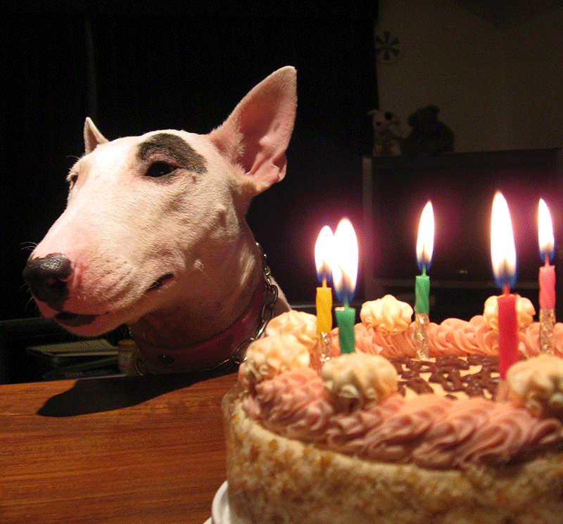 f:id:masami_takasu:20181118082351g:plain