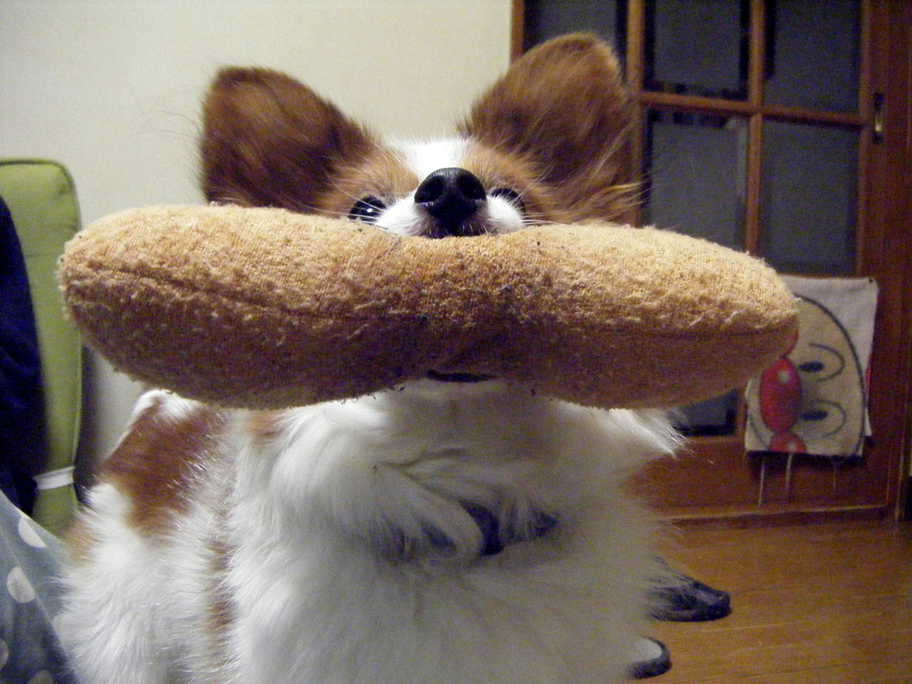 f:id:masami_takasu:20181121135343j:plain