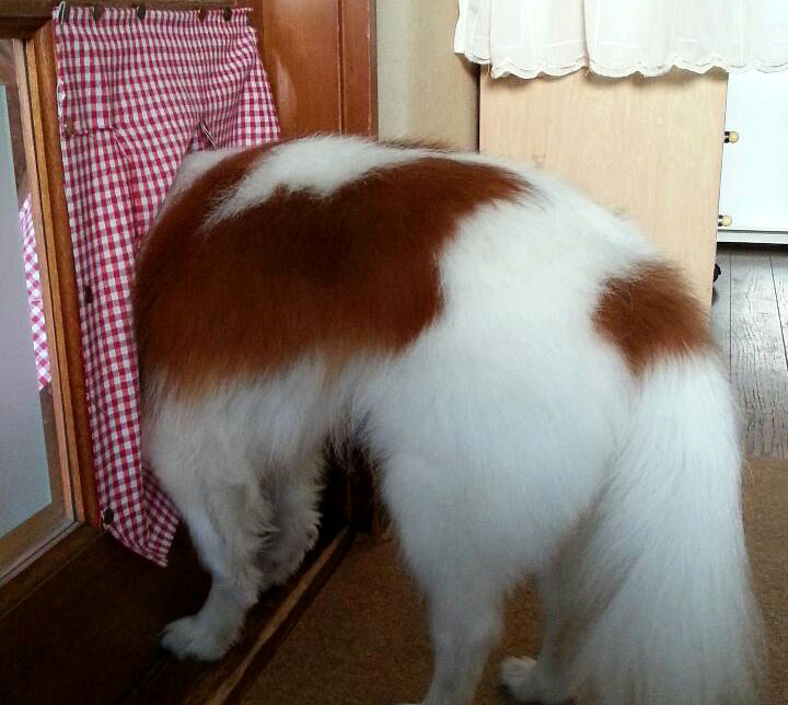 f:id:masami_takasu:20181121135459j:plain