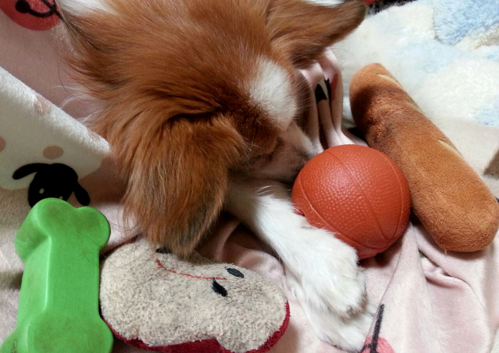 f:id:masami_takasu:20181121135711j:plain