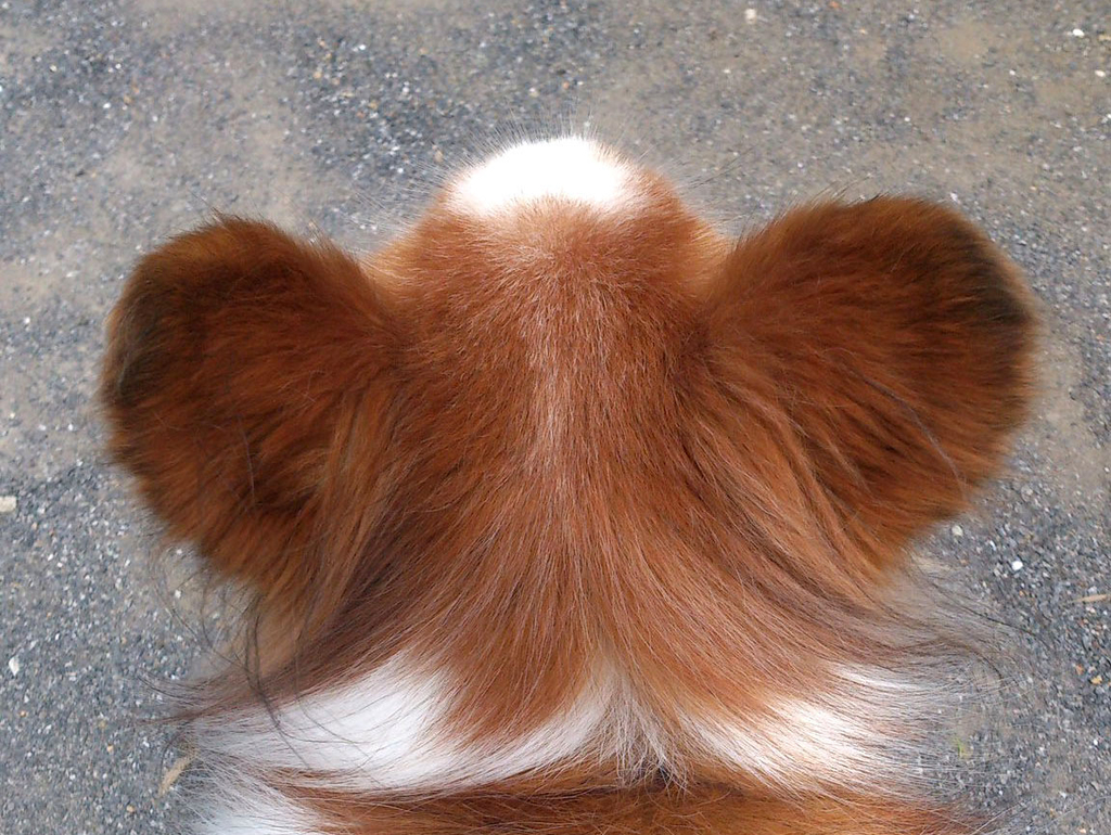 f:id:masami_takasu:20181121140255j:plain