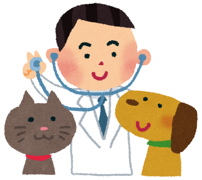 f:id:masami_takasu:20181124023558p:plain f:id:masami_takasu:20181124023558p:plain