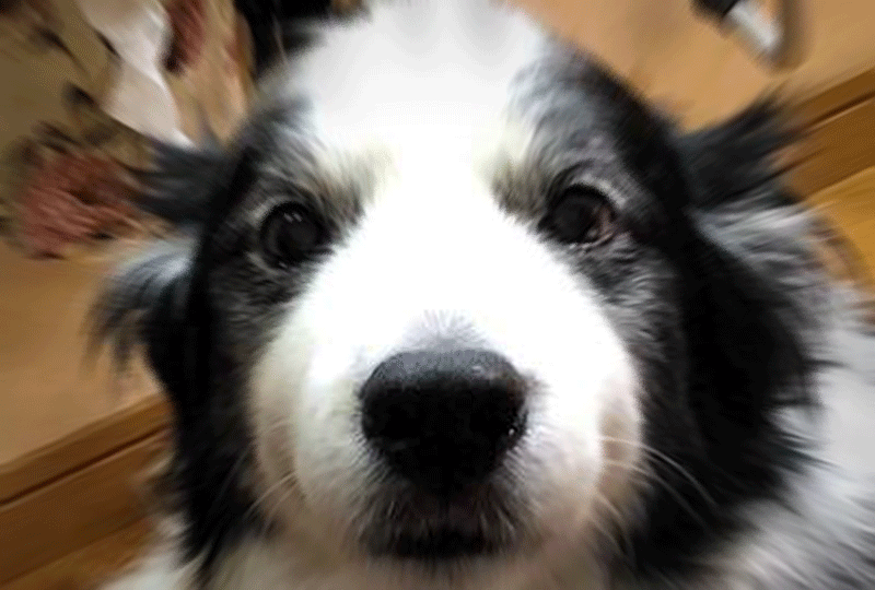 f:id:masami_takasu:20181125075918g:plain