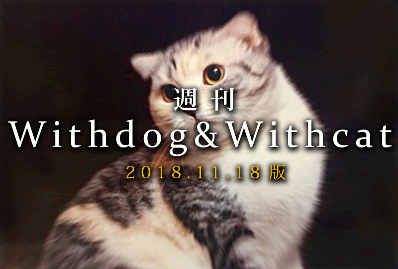 f:id:masami_takasu:20181125080405g:plain