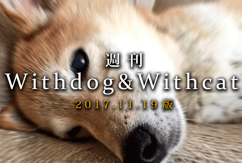 f:id:masami_takasu:20181125080537g:plain