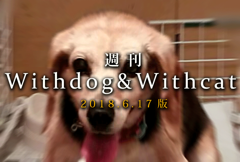 f:id:masami_takasu:20181125081116g:plain