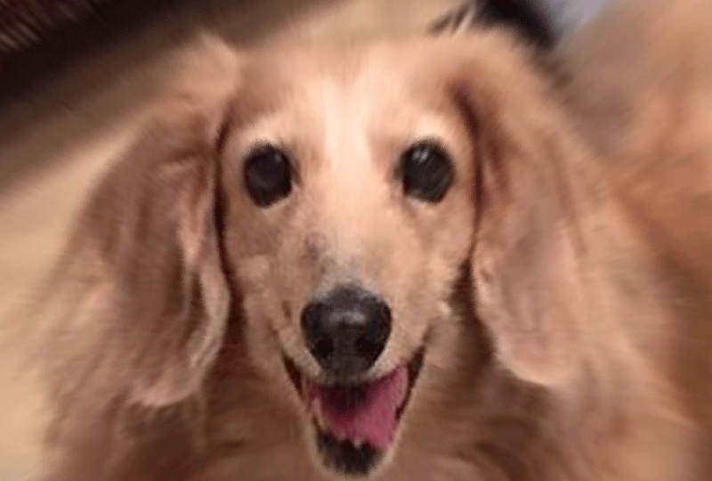 f:id:masami_takasu:20181130025447g:plain f:id:masami_takasu:20181130025447g:plain