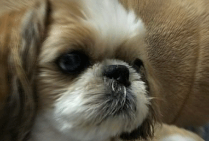 f:id:masami_takasu:20181130025906g:plain