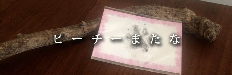 f:id:masami_takasu:20181201191108j:plain