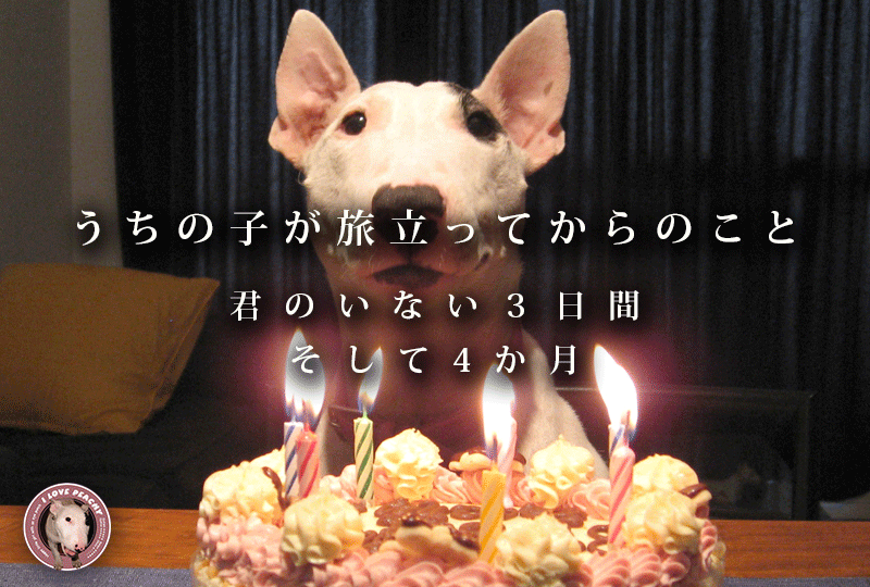 f:id:masami_takasu:20181201191921g:plain f:id:masami_takasu:20181201191921g:plain