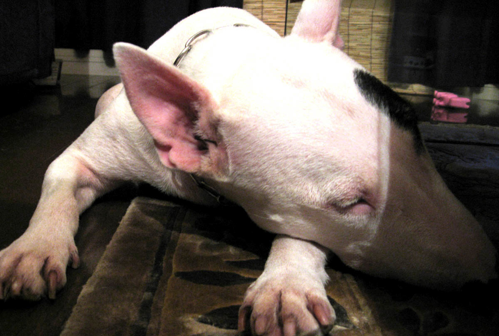 f:id:masami_takasu:20181206152647j:plain