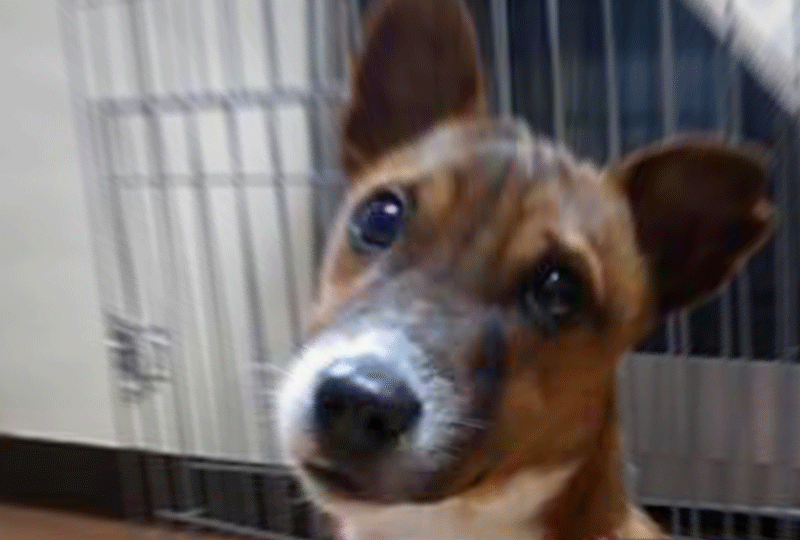 f:id:masami_takasu:20181209180151g:plain f:id:masami_takasu:20181209180151g:plain