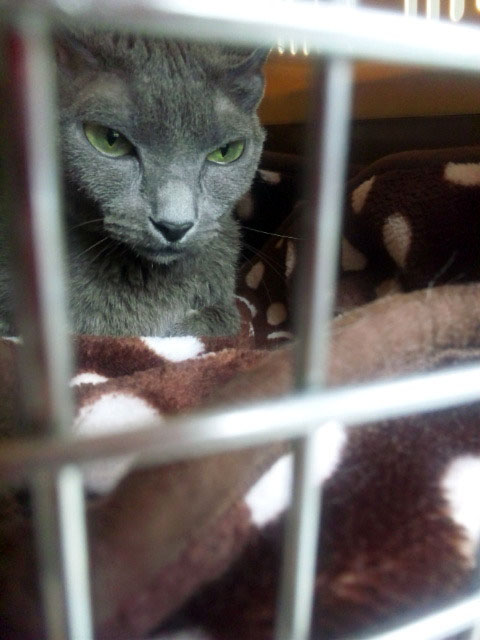 f:id:masami_takasu:20181210160432j:plain