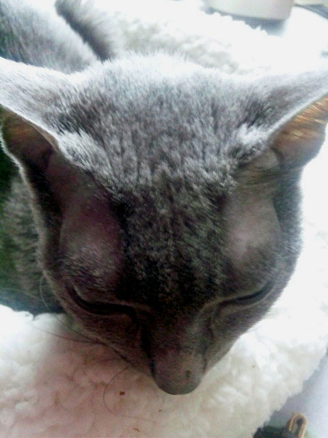 f:id:masami_takasu:20181212111051j:plain f:id:masami_takasu:20181212111051j:plain