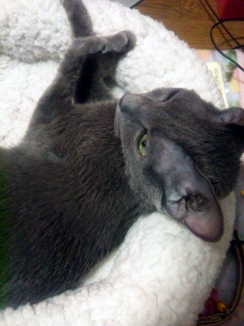 f:id:masami_takasu:20181212111137j:plain f:id:masami_takasu:20181212111137j:plain