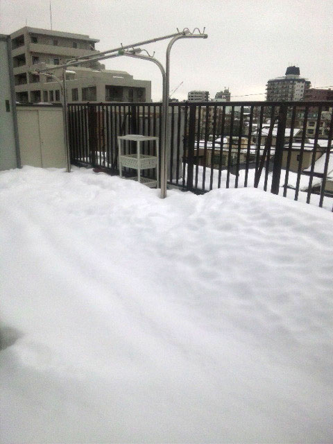 f:id:masami_takasu:20181212113007j:plain