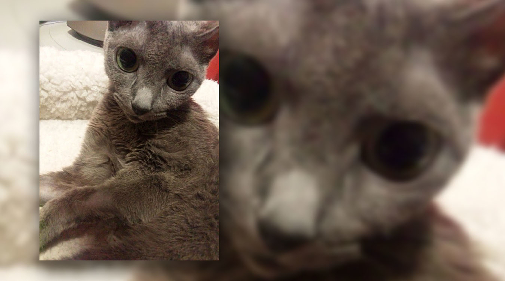 f:id:masami_takasu:20181213090741j:plain