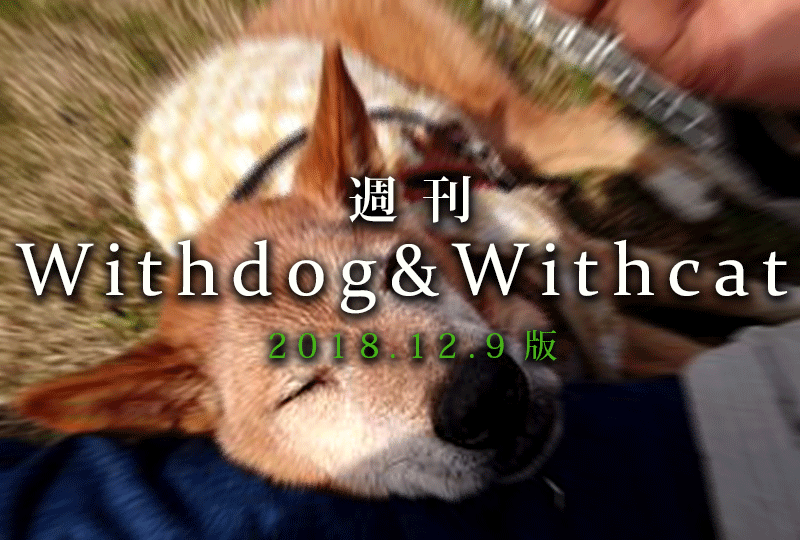 f:id:masami_takasu:20181216071843g:plain