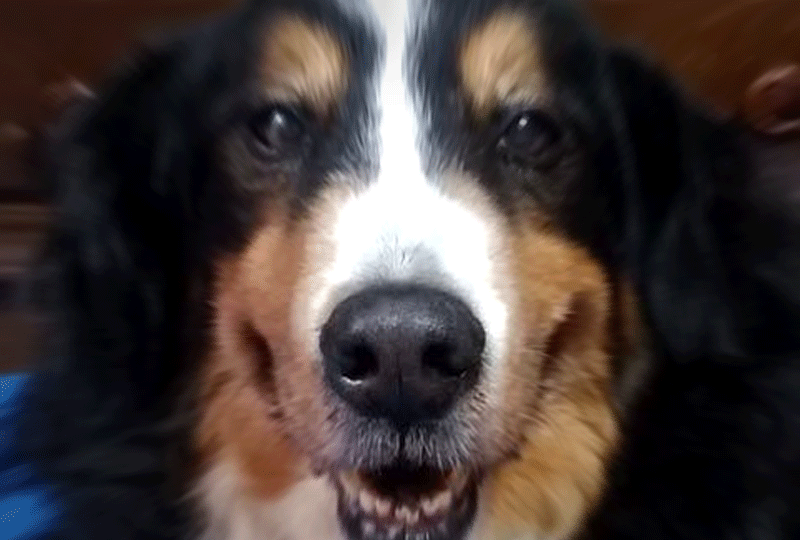 f:id:masami_takasu:20181216073039g:plain