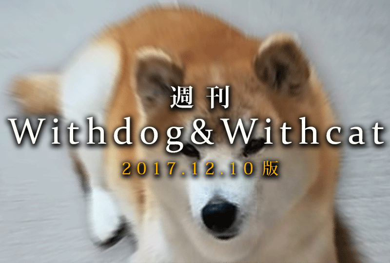 f:id:masami_takasu:20181216073605g:plain