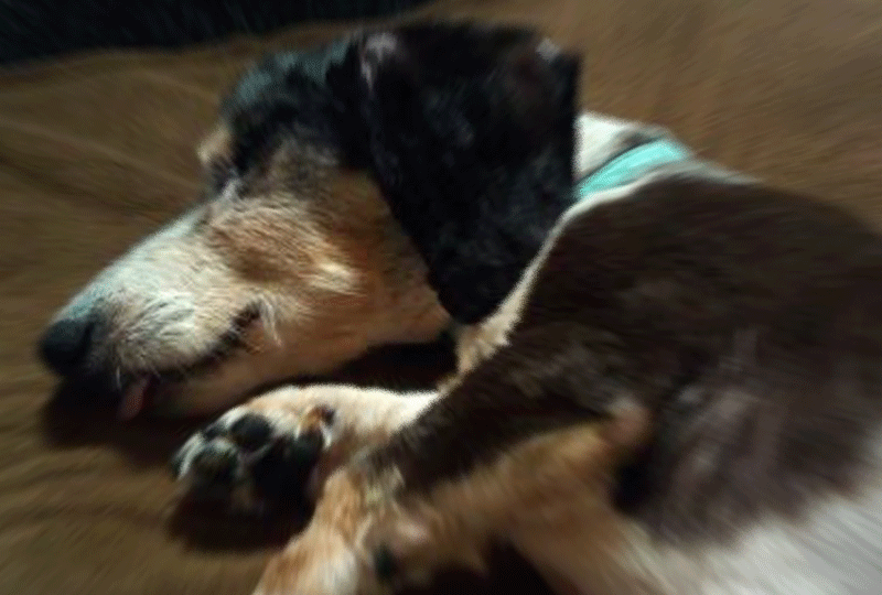 f:id:masami_takasu:20181216073714g:plain