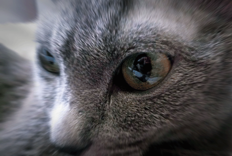 f:id:masami_takasu:20181216075018g:plain