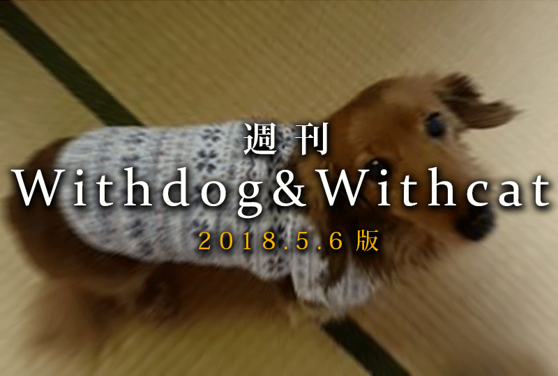 f:id:masami_takasu:20181216075238g:plain