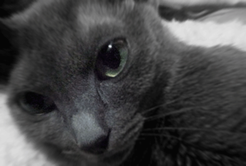 f:id:masami_takasu:20181216075536g:plain