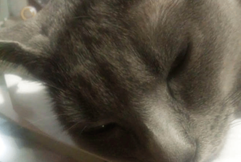 f:id:masami_takasu:20181216075711g:plain