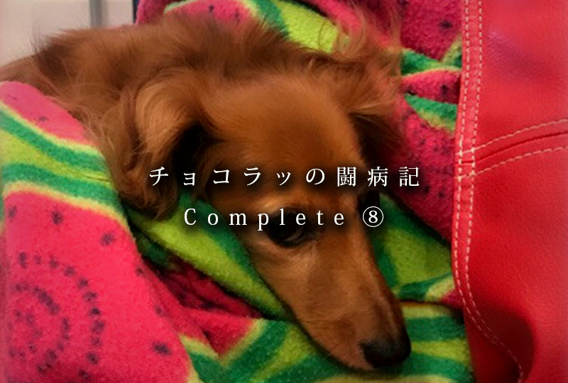 f:id:masami_takasu:20181222130137j:plain f:id:masami_takasu:20181222130137j:plain