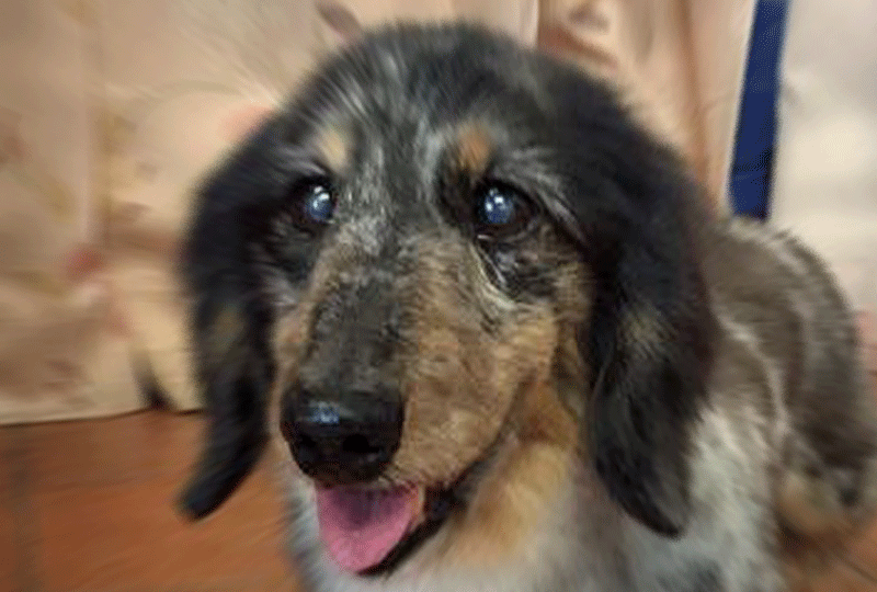 f:id:masami_takasu:20181223075800g:plain