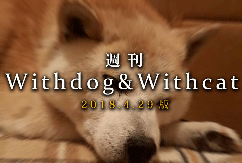 f:id:masami_takasu:20181223080157g:plain