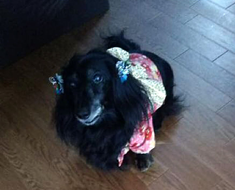 f:id:masami_takasu:20181229124315j:plain