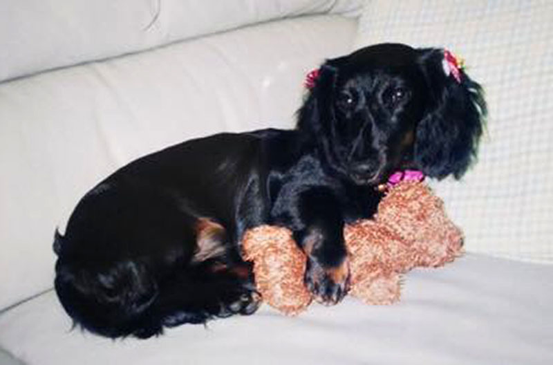 f:id:masami_takasu:20181229124615j:plain