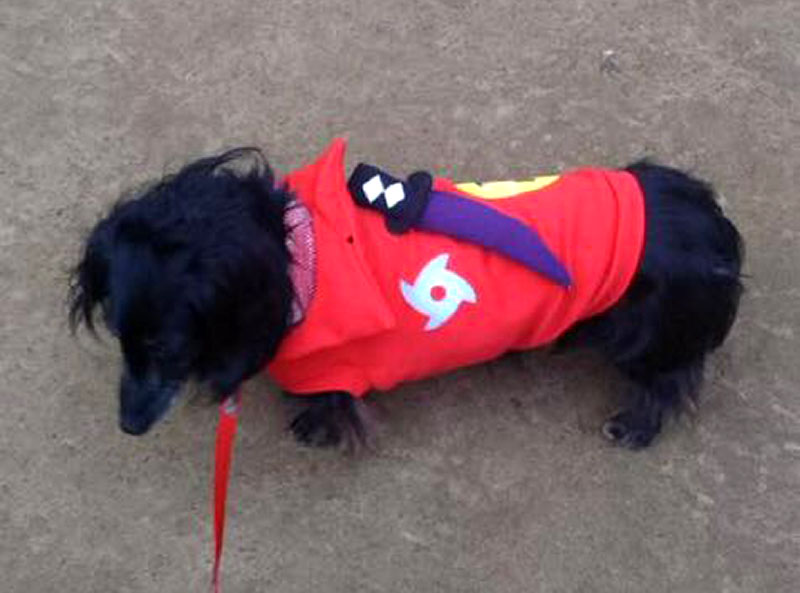 f:id:masami_takasu:20181229124724j:plain