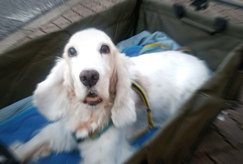 f:id:masami_takasu:20181230113805g:plain